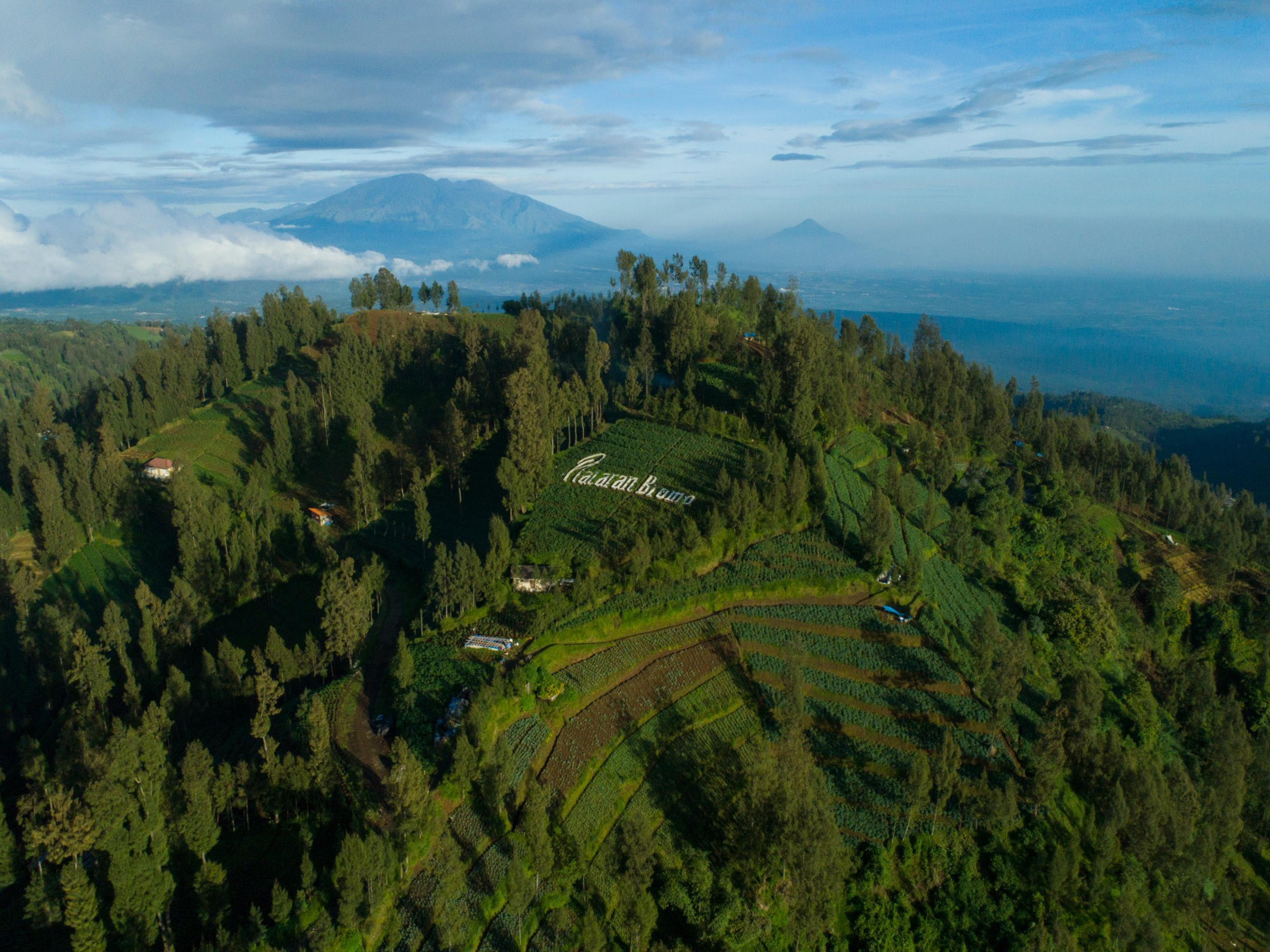 Plataran Bromo Exterior foto