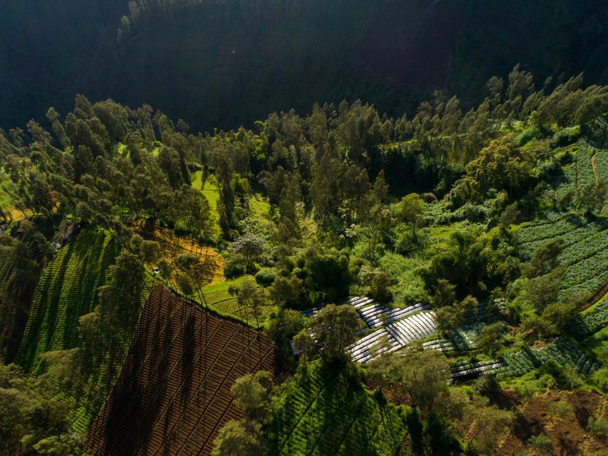 Plataran Bromo Exterior foto