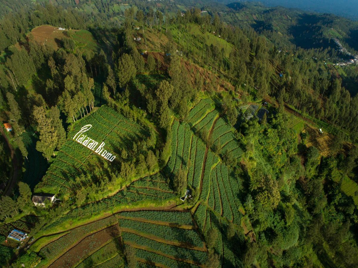 Plataran Bromo Exterior foto