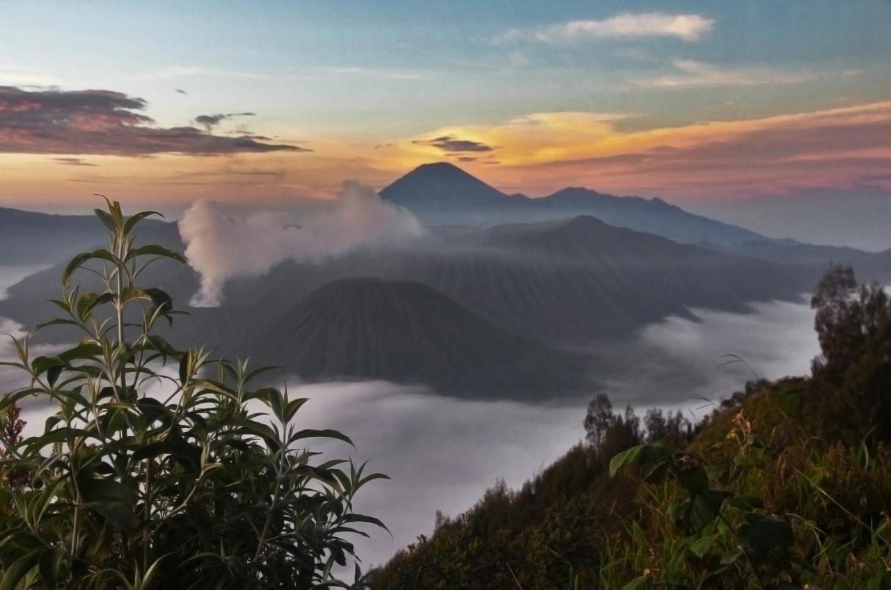 Plataran Bromo Exterior foto